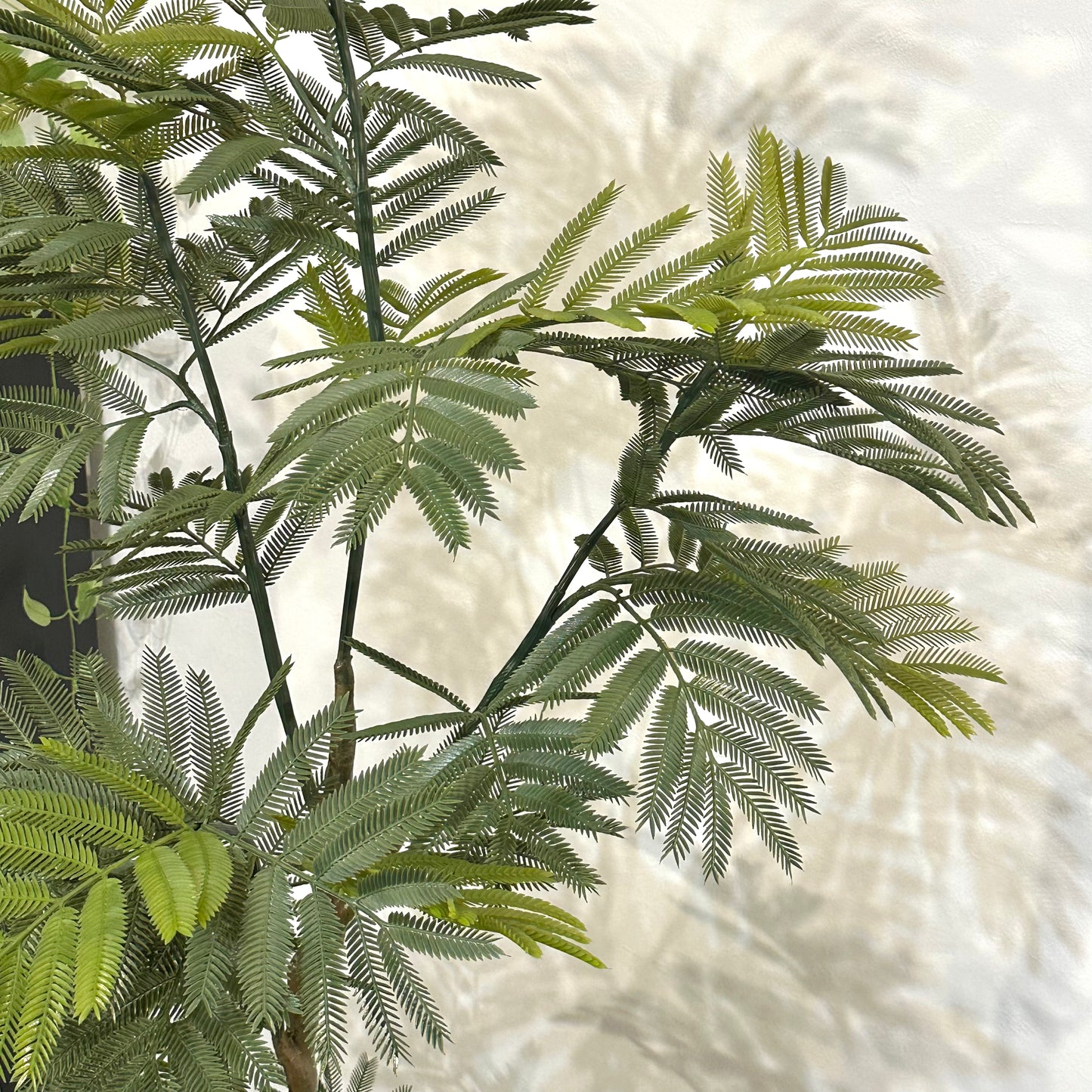 Green｜M