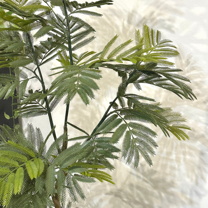 Green｜M