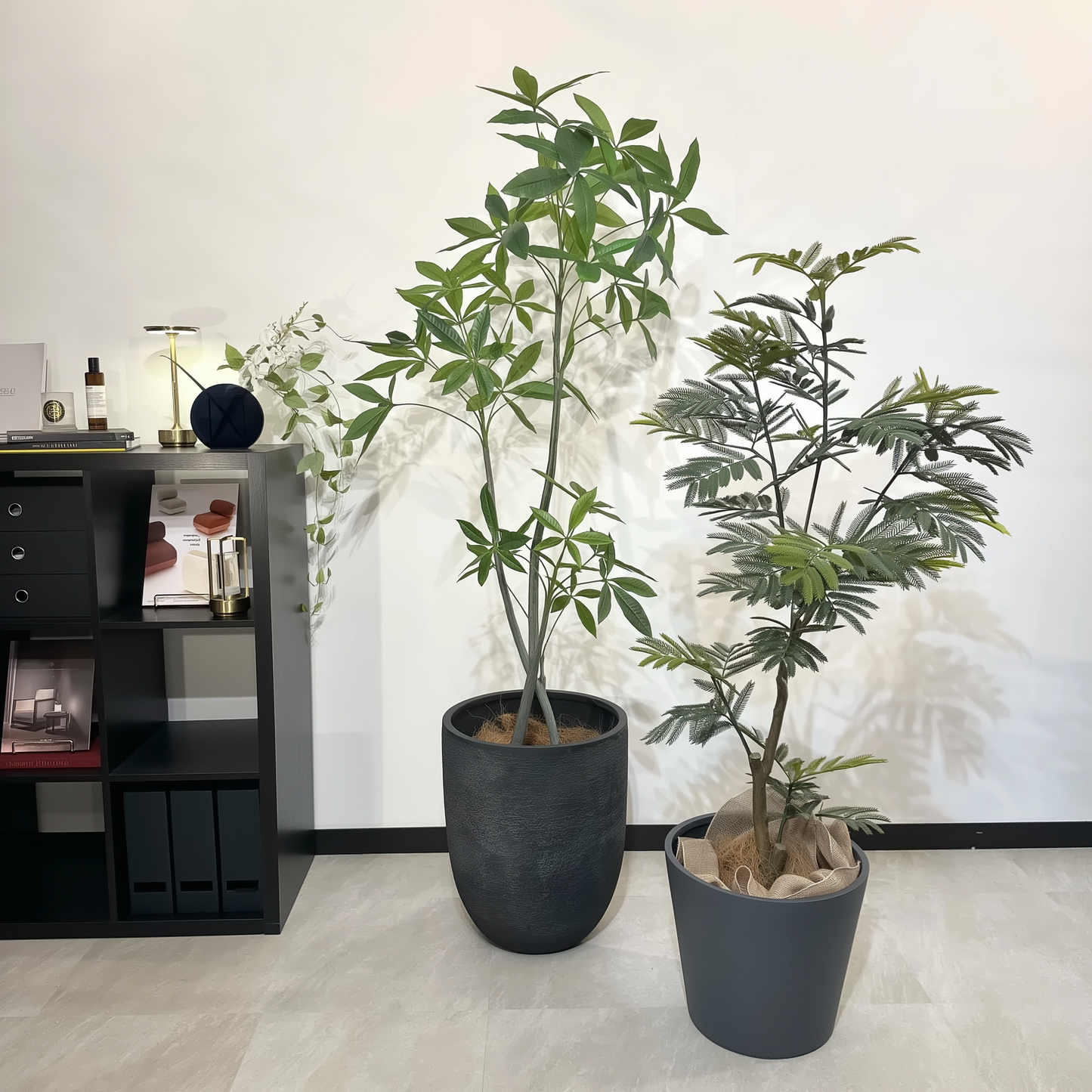 Living Set｜Light