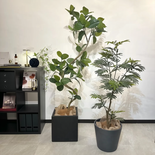 Living Set｜Balance